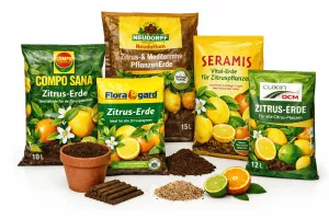 Erde & Substrat Produkte