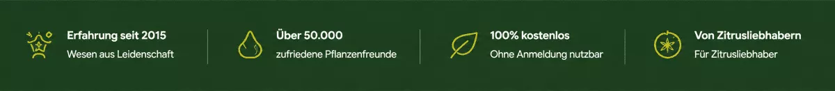Informationen zu Zitruspflege