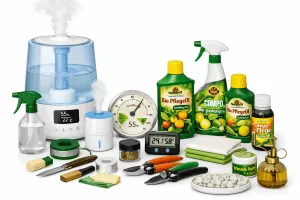 Luftfeuchtigkeit & Pflege Produkte