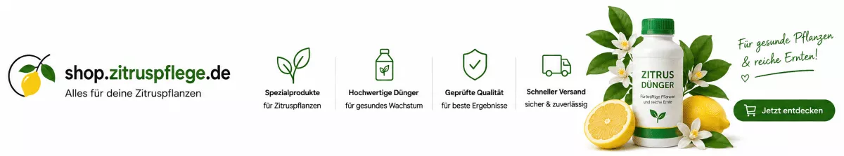 Zitruspflege für Hobbygärtner leicht gemacht