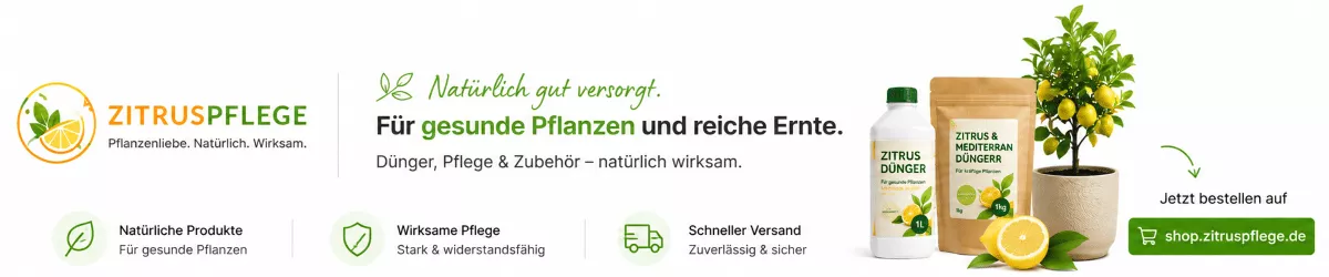 Zitronenbaum Dünger für gesundes Wachstum