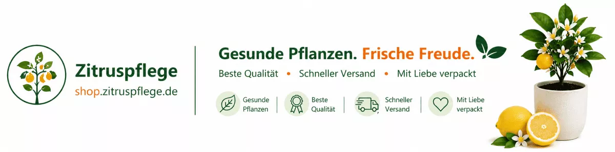 Pflege für kräftige und vitale Zitronenbäume