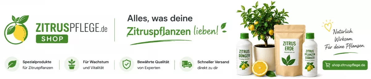 Zitrusbaum Pflegeprodukte für jede Jahreszeit