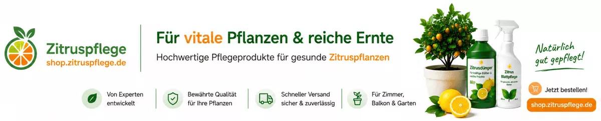 Zitrusdünger für üppige Blüten und Früchte