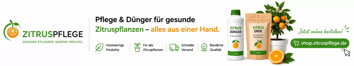 Spezialerde für Zitronenbäume im Topf