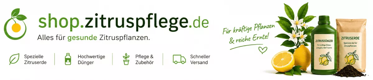Orangenpflanzen mit hochwertiger Erde kultivieren