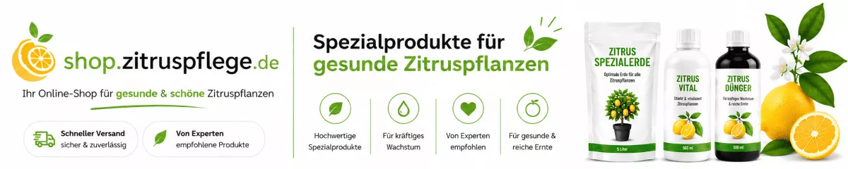 Zitronenbaum im Kübel richtig ernähren