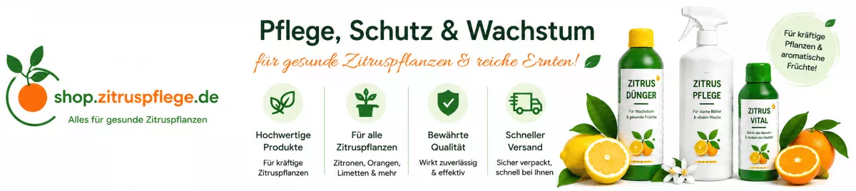 Zitruspflanzen mit mediterranen Nährstoffen pflegen