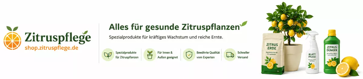 Gesundes Wachstum bei jungen Zitrusbäumen fördern