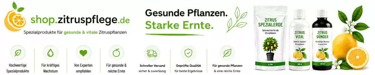 Pflegebedarf für Zitronenbäume online entdecken