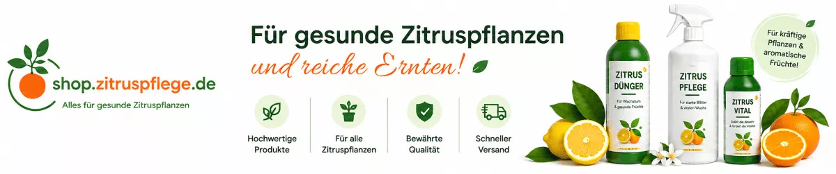 Zitronenbäume mit geeigneter Pflanzennahrung stärken