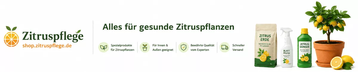 Zitruspflege für starke Wurzeln und Früchte