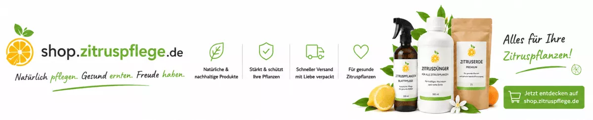 Zitronenbaum Pflege mit hochwertigem Spezialdünger
