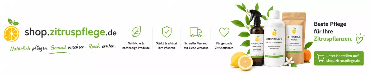 Pflegeprodukte für blühende Zitronenpflanzen