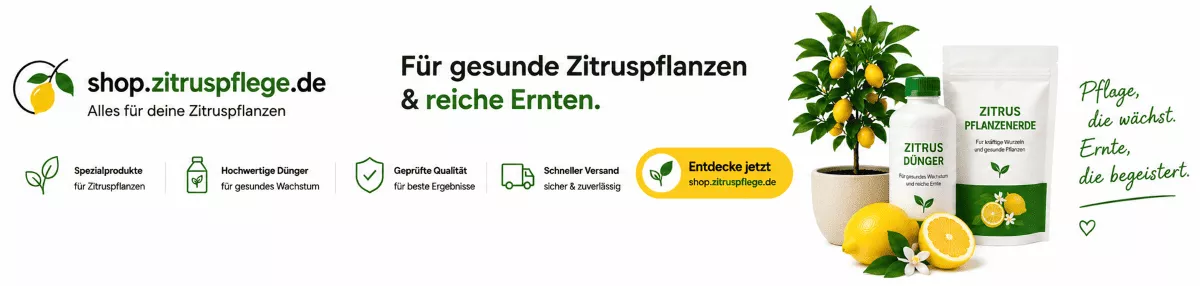 Zitrusdünger für eine gesunde Fruchtentwicklung