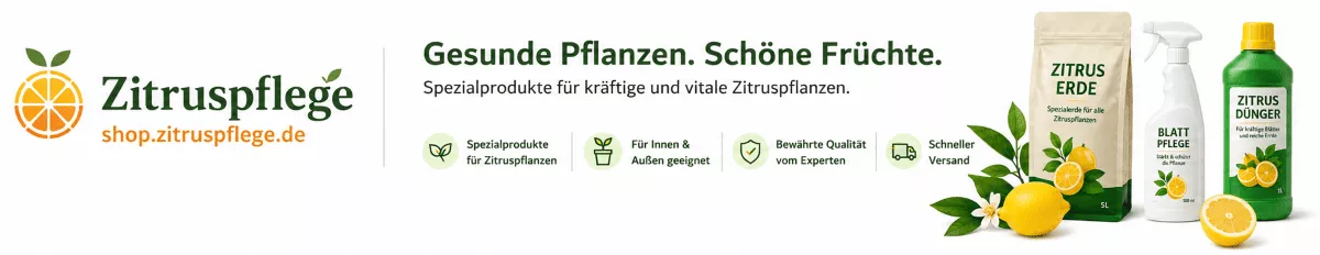 Limettenbäume mit der richtigen Erde versorgen
