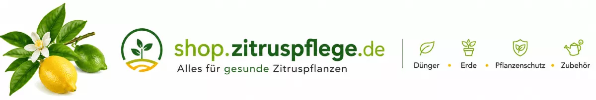 Zitrusbaum Dünger für Balkon und Terrasse