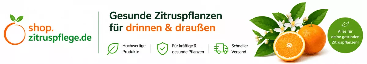 Gesunde Zitronenpflanzen durch richtige Ernährung