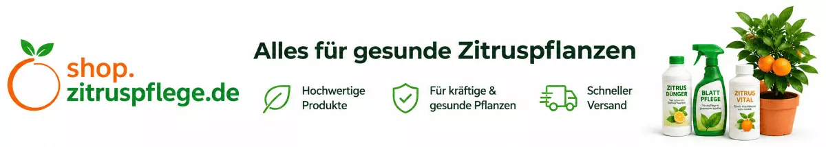 Zitruspflanzen mit passender Erde umtopfen