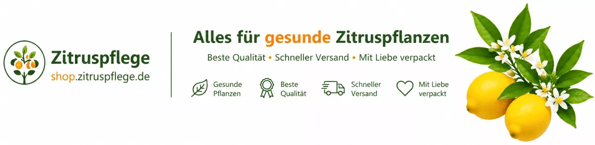 Zitrusdünger für kräftige Wurzeln und Triebe