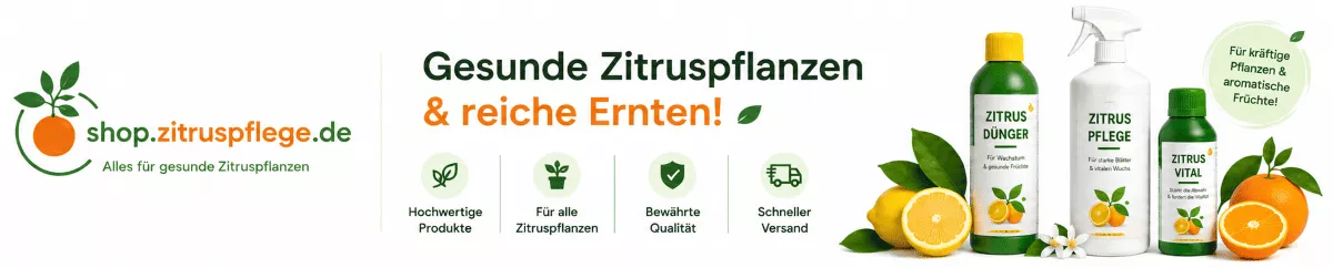 Zitronenpflanzen mit hochwertiger Zitruserde pflegen