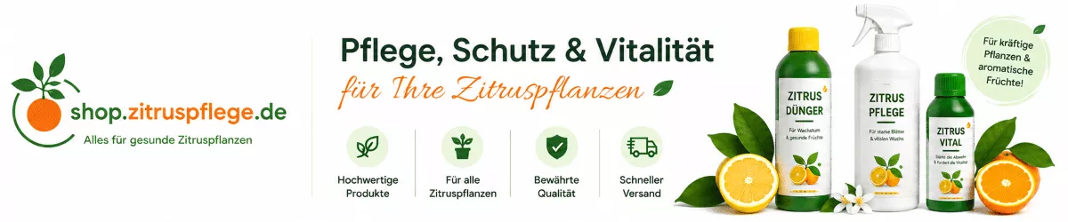 Mediterrane Pflanzen für eine reiche Blüte stärken