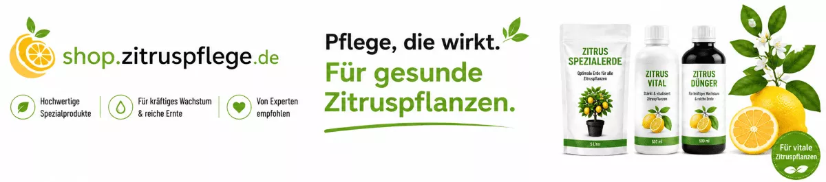 Zitronenbaum mit Spezialnährstoffen versorgen