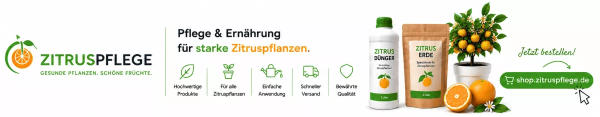 Zitronenbäume für kräftiges Wachstum unterstützen