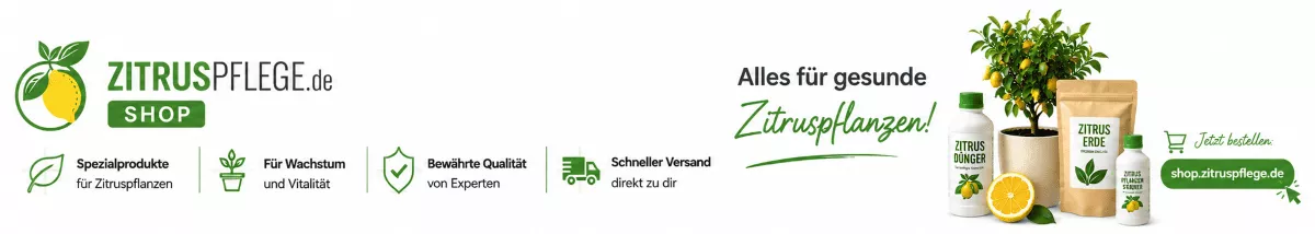 Zitruspflege mit ausgewählten Qualitätsprodukten