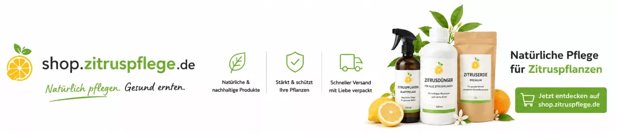 Zitrusdünger für gesunde Blätter und Blüten
