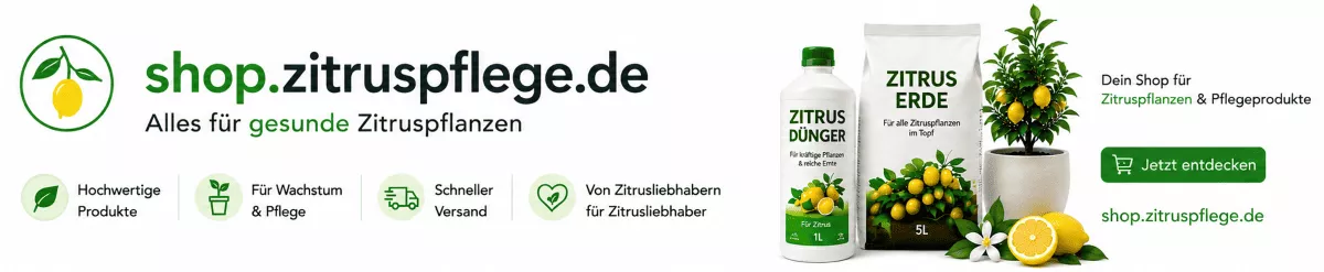 Zitronenpflanzen mit mediterraner Erde kultivieren