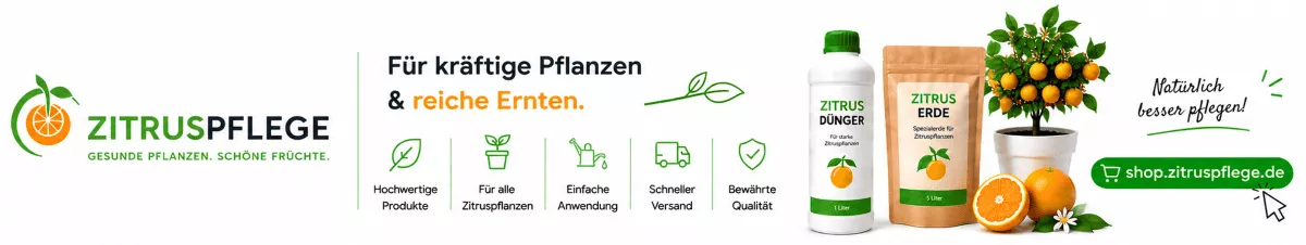 Pflegeprodukte für starke Zitruswurzeln