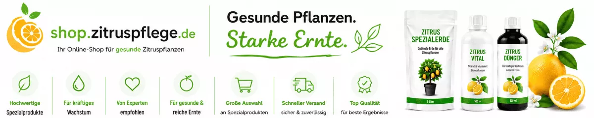Orangenpflanzen mit hochwertiger Pflanzennahrung pflegen