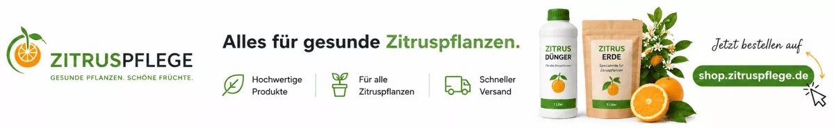 Mandarinenbäume richtig mit Nährstoffen versorgen