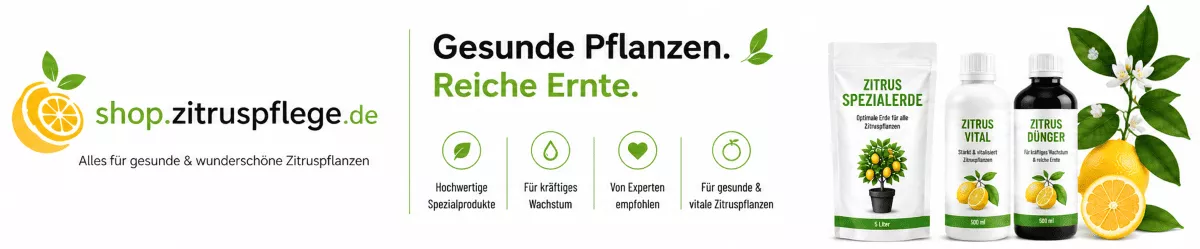 Zitruspflanzen mit hochwertigem Dünger versorgen