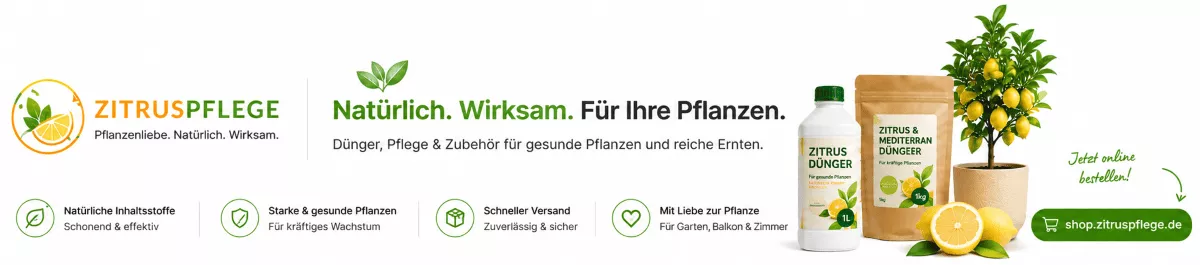 Gesundes Wachstum bei Orangenbäumen fördern