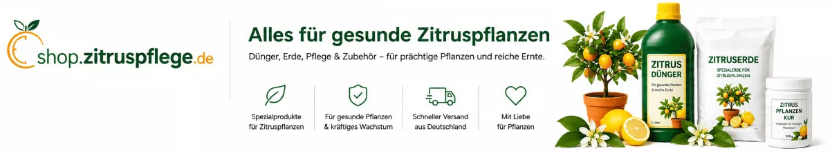 Pflegeprodukte für mediterrane Pflanzen entdecken