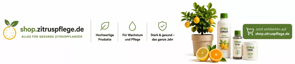 Zitrusbäume mit ausgewählten Nährstoffen pflegen
