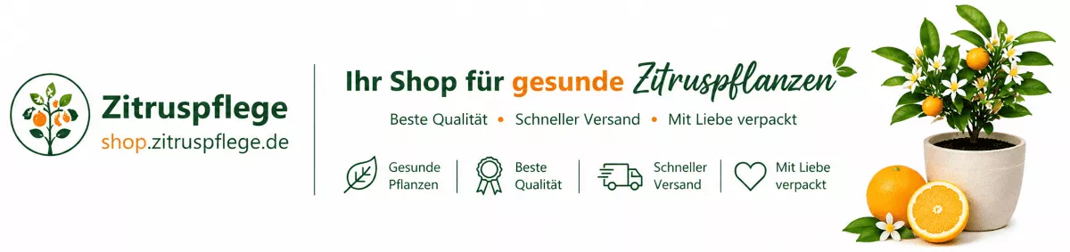 Die ideale Versorgung für Zitronenbäume