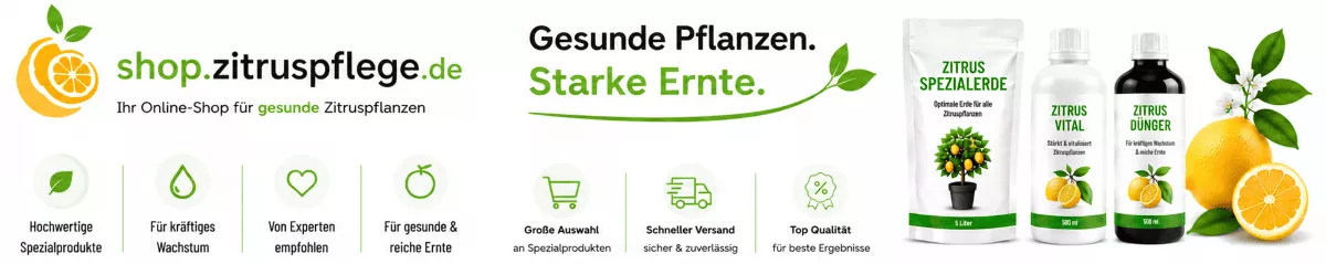 Zitrusdünger für gesunde Pflanzen und Früchte