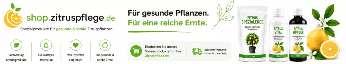 Nährstoffe für kräftige Zitrusbäume