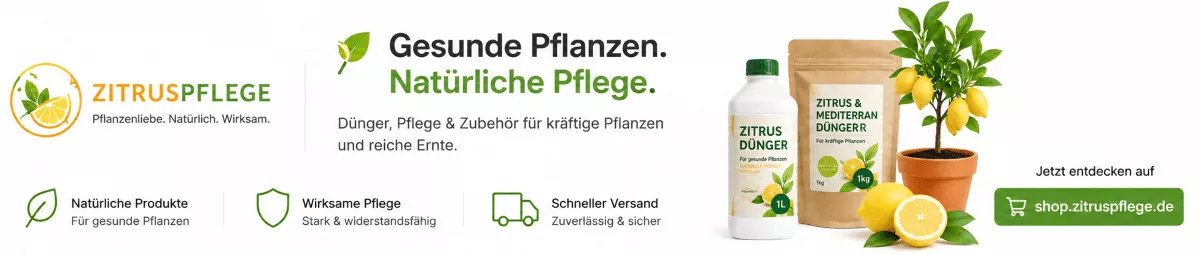 Spezialpflege für mediterrane Zitrusgewächse