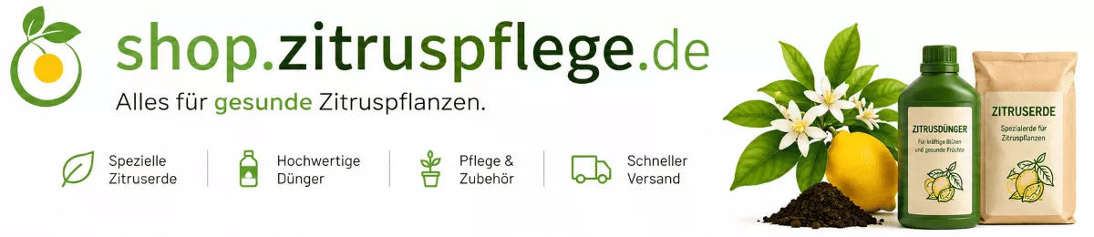 Zitruspflege für starke Wurzeln und Blätter