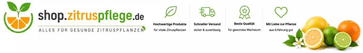 Die richtige Erde für Zitruspflanzen