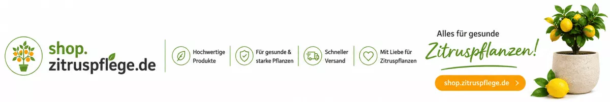 Hochwertige Produkte für Zitronenpflanzen