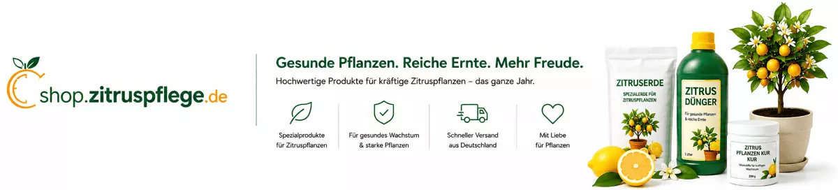 Zitronenbaum mit Spezialerde gesund kultivieren