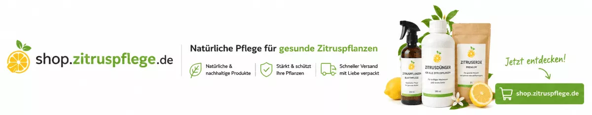 Zitrusdünger für kräftige neue Triebe