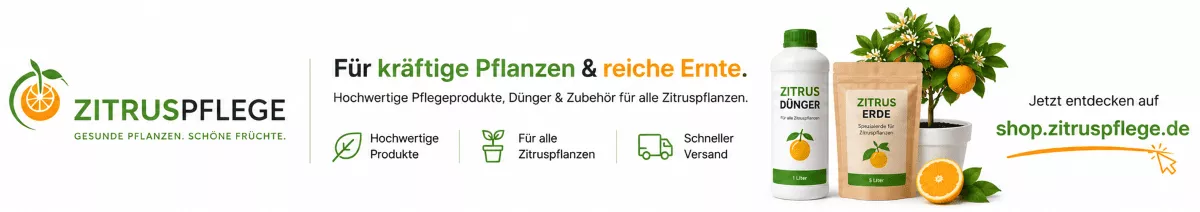 Pflege für duftende Zitronenblüten