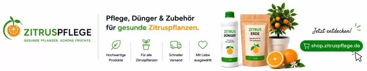 Orangenpflanzen mit wichtigen Nährstoffen versorgen