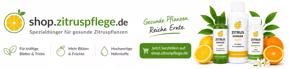 Mandarinenpflanzen richtig pflegen und düngen